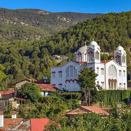 Vasiliki